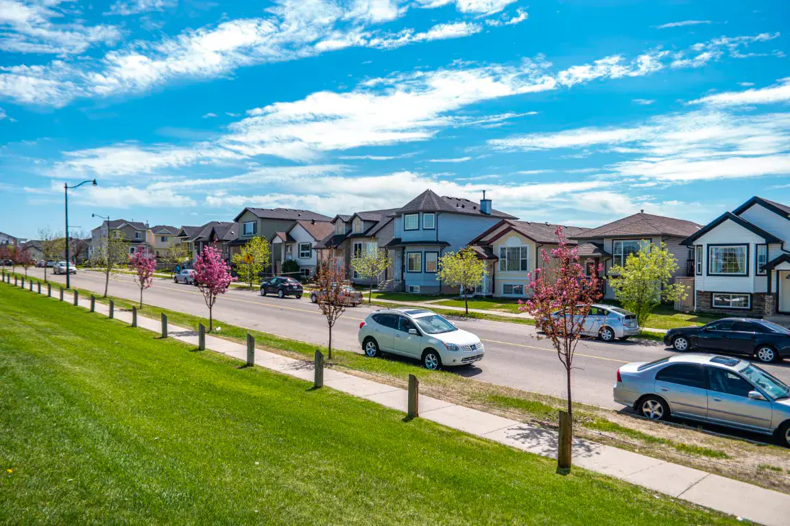 A residential street in Taradale
